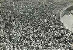 Fans in the bleachers