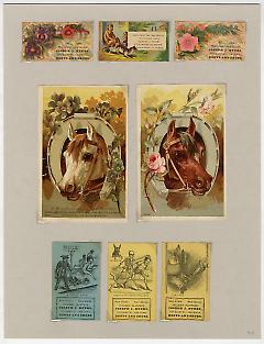 Set of 8 tradecards mounted on cardstock. Recto.