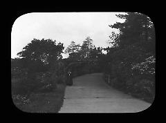 Views: U.S., Brooklyn. Brooklyn, Prospect Park. View 049: Rustic Arbor.