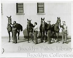 [Four stablehands with horses at armory in Fort Greene]