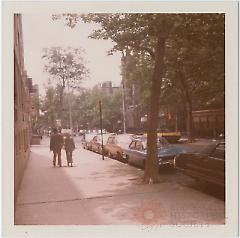 [Hicks Street, looking south.]