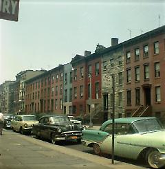 [View of north side of Amity Street.]