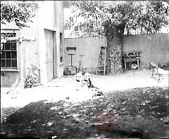 [Three girls sitting in a yard]