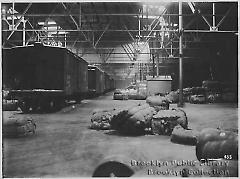 RR cars in a Bush pier shed