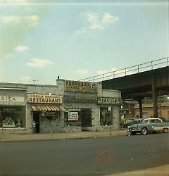 [N. W. corner McDonald Avenue and Kings Highway.]