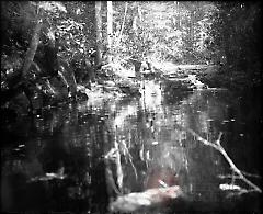 [Man fishing by pool in woods]