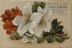 Tradecard. Goetz and Company. 81 and 83 Court Street. Brooklyn.