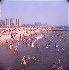 Coney Island [swimmers]