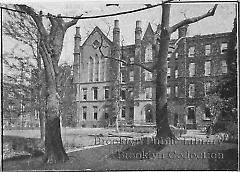 Packer Collegiate Institute