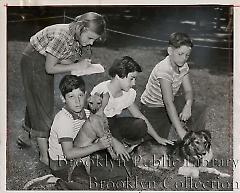 Bay Ridge pups on parade