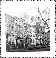 [South Portland Avenue between DeKalb Avenue and Lafayette Avenue.]