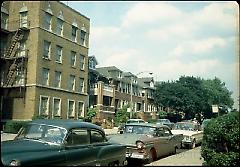 [North side of Crown Street.]