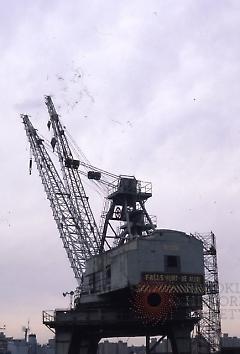 [Brooklyn Navy Yard cranes]