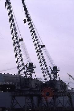 [Navy cranes]