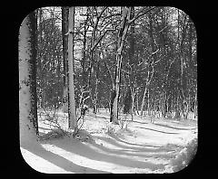 Views: U.S., Brooklyn. Brooklyn, Prospect Park. View 003: Snowscene.