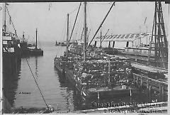 Cotton barges discharging cargo in Brooklyn