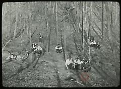 [Young men on a] Forest Park hike