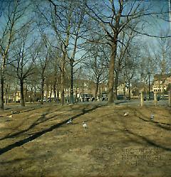 [Park between 67th and 66th Streets.]