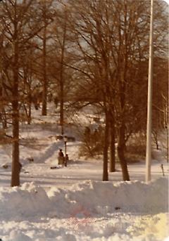 [Brooklyn Photographs: Prospect Park]