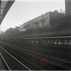 [View of Cortelyou Road.]