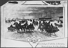 A trot on the Coney Island Beach