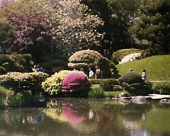 [Japanese Garden]