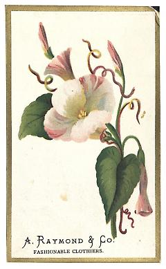 Tradecard. A. Raymond & Co. Brooklyn, NY. Recto