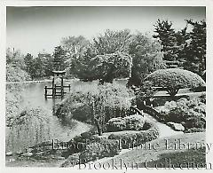 Japanese Pond and Hill Garden