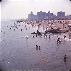 Coney Island [swimmers]