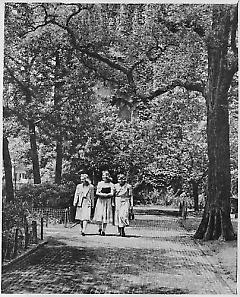 Packer Collegiate Institute garden