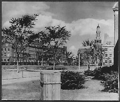 Brooklyn College campus