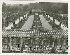 Rose garden
