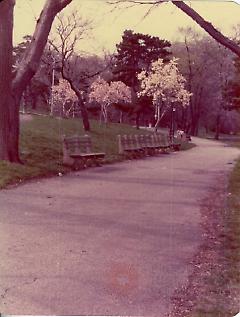 [Brooklyn Photographs: Prospect Park]