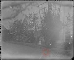 [Garden with bushes and trellis]