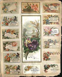 Overall page.