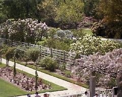 [flower beds]
