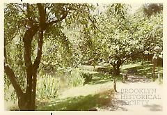 [Trees and Flowers]