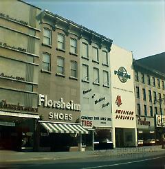 [East side of Flatbush Avenue.]
