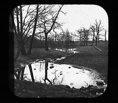 Views: U.S., Brooklyn. Brooklyn, Prospect Park. View 039: Winter scene.