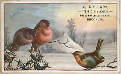 Tradecard. F. Edwards. 166 and 168 Atlantic Avenue. Brooklyn.