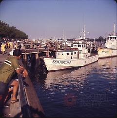 Sheepshead Boats, [Sea Pigeon III and Effort]