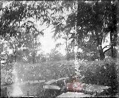 [Exterior view of house, yard and trees]