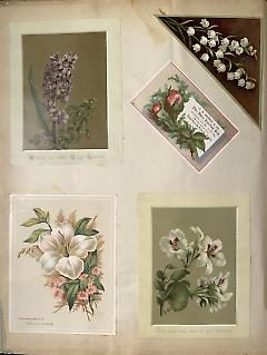 Overall page.