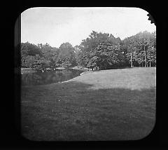 Views: U.S., Brooklyn. Brooklyn, Prospect Park. View 042: Meadow.