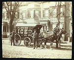 Winthrop Street, Flatbush, Brooklyn. April 8, 1904. A Collection of pictures from Brooklyn
